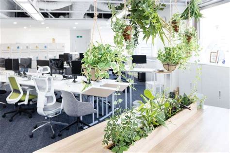 職場 植物|オフィスに植物を置く効果とは？グリーンアメニティ。